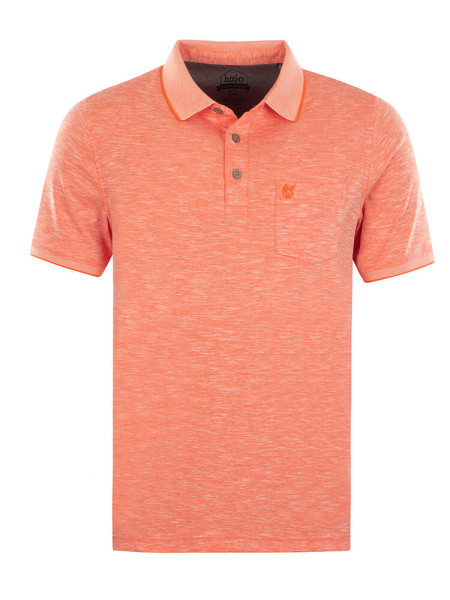 Polo HAJO