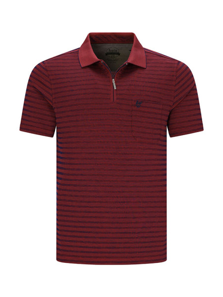 Polo HAJO
